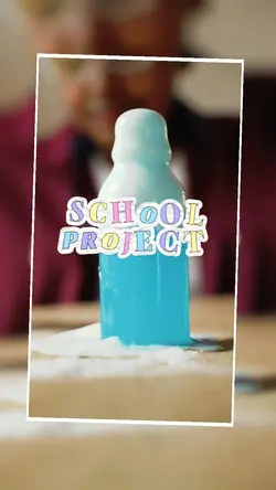 School Project'