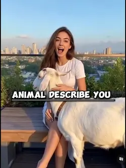 Animal describe you 