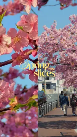 Spring in slice