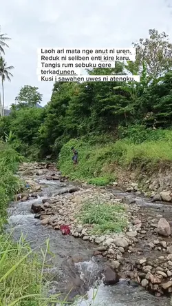 gayo