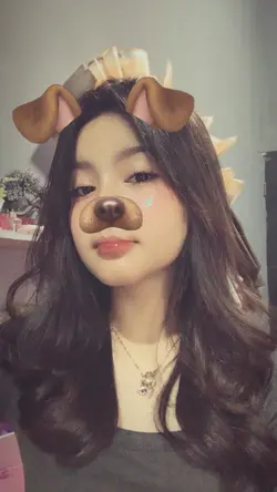 dog filter