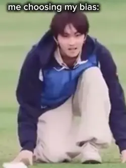 Skz bias