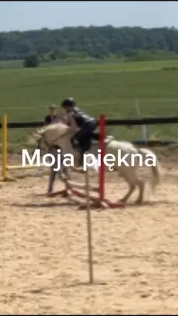 🥇 1 miejsce