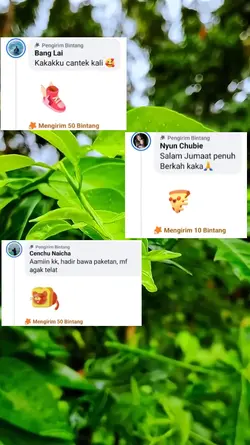 kejora FB pro