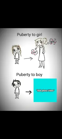 Meme Template