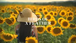 birds of a feather