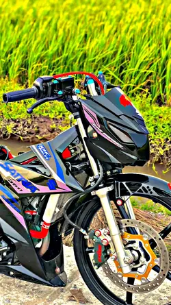 Vivid Bright Filter 