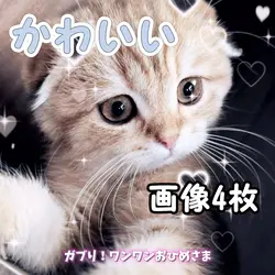 不幸になっちゃえ