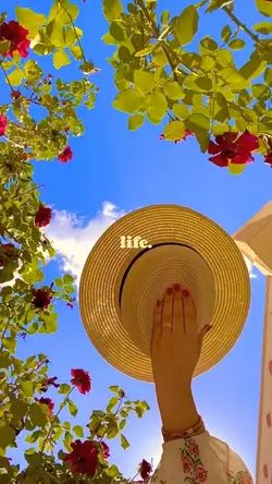 Life