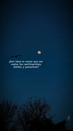 Frases sad ,nochesad