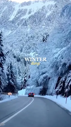 winter dump