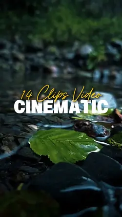 14 Clips Video