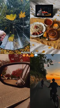 AUTUMN VIBES