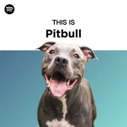 This Is Spotify Meme
