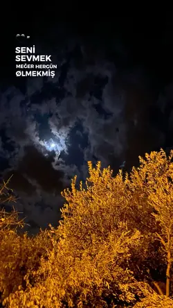 Yeni şablon 
