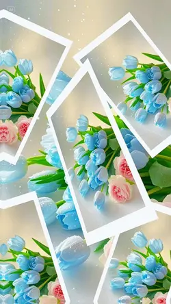 12 Flowers slide