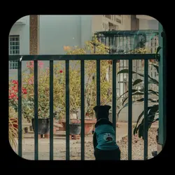 AI BIẾT - WEAN
