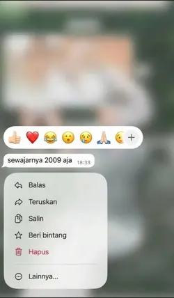 sewajarnya 2009 aja