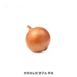 onion