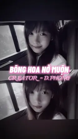 BÔNG HOA NỞ MUỘN