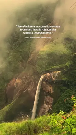 mentahan video