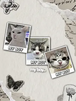 boyfriend day