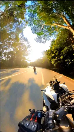 Throttle Therapy