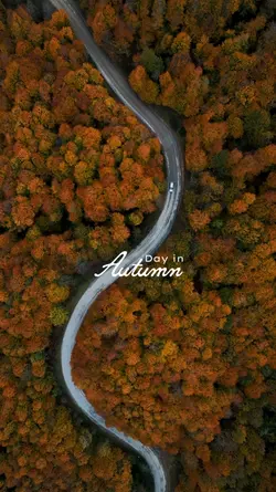 Day in Autumn