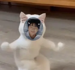 cat dance face 