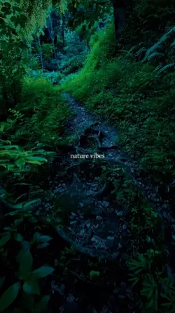 nature vibes
