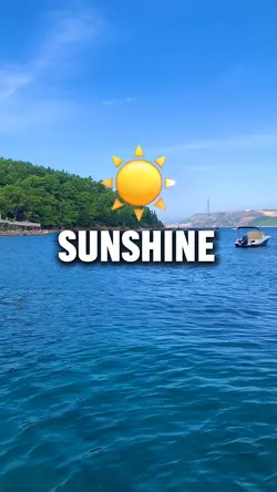 Rise and Shin