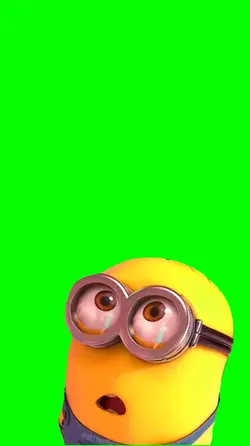 Minions funny meme