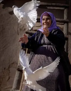 Alişan yar bedewe
