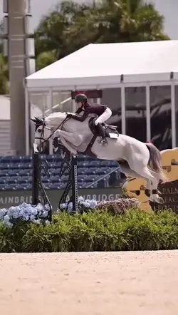 Ralenti cheval