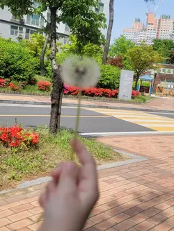 고댓