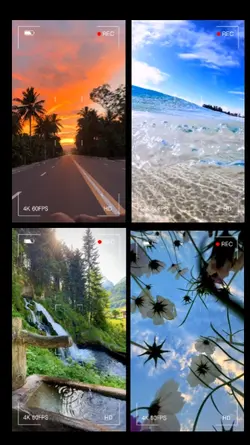 Trending TRANSiTiONS