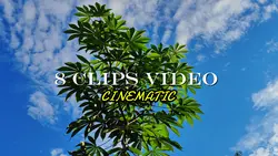 8 CLIPS VIDEO 