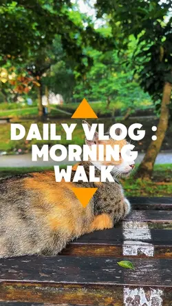Morning walk 