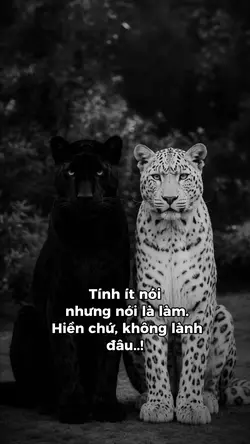 Hiền chứ không lành