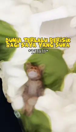 Kucing turu