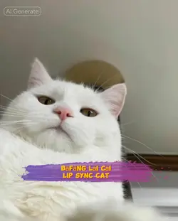 BāfāngLáiCáilipsync 