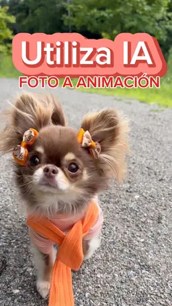 Puppy