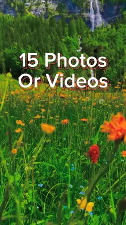 15 Video Slides