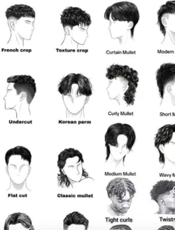 curly mulet