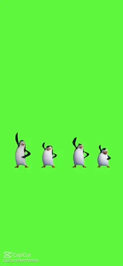 Tanzende Pinguine