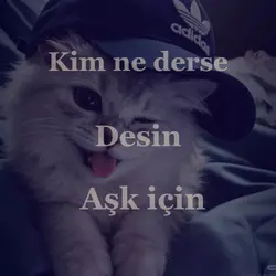 doğrusunu sence kim