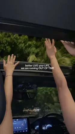 live your life