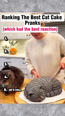Cat cake pranks