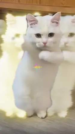 VERSI BAYANGAN 