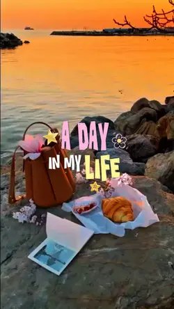 A day in my life